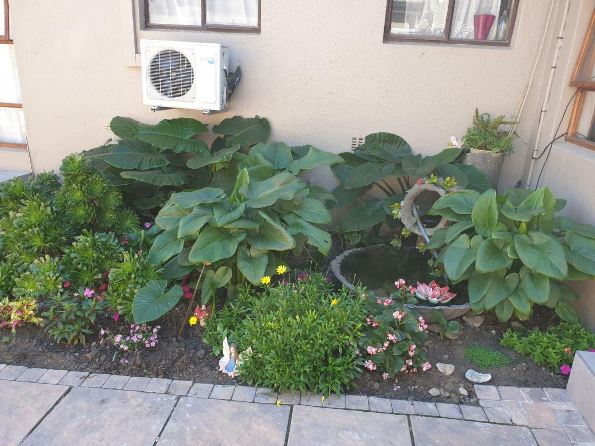Dilisca Guesthouse ダーバンヴィル エクステリア 写真