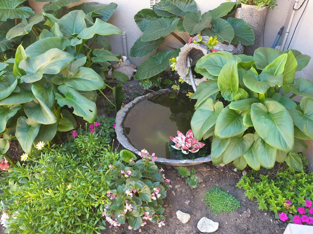 Dilisca Guesthouse ダーバンヴィル エクステリア 写真